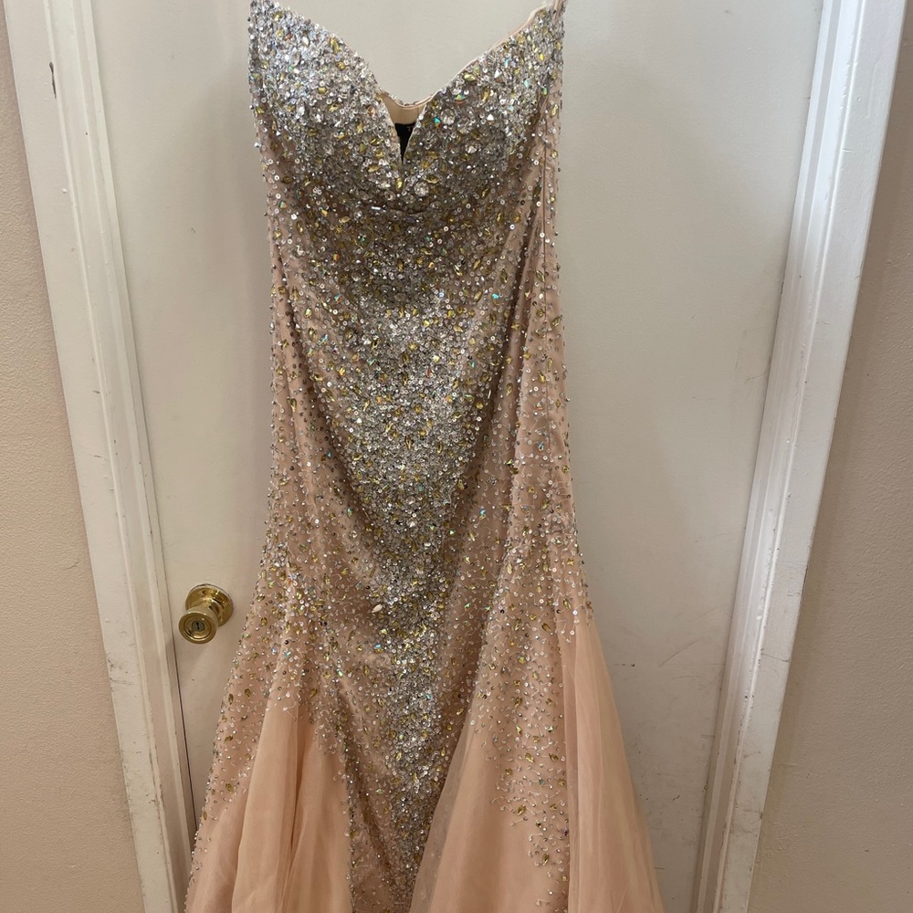 Terani Couture dress. Size 12